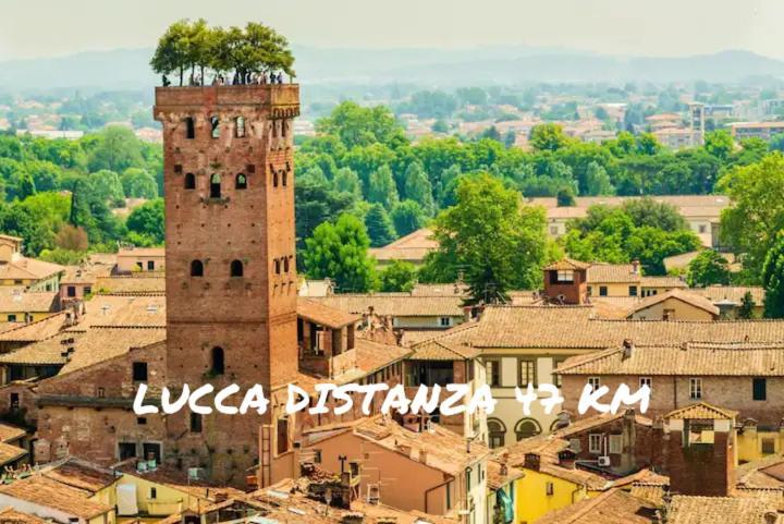 Il Nido *