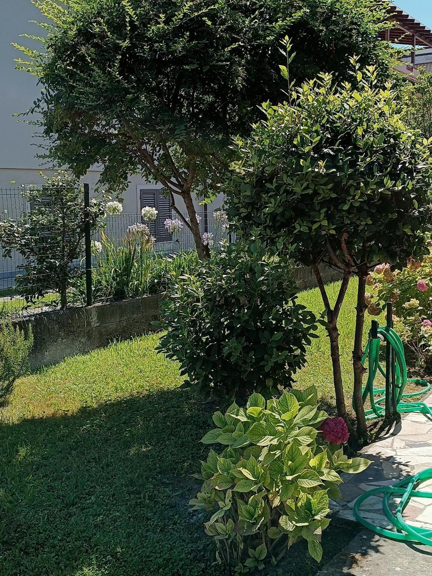 Il Nido * Marina di Massa